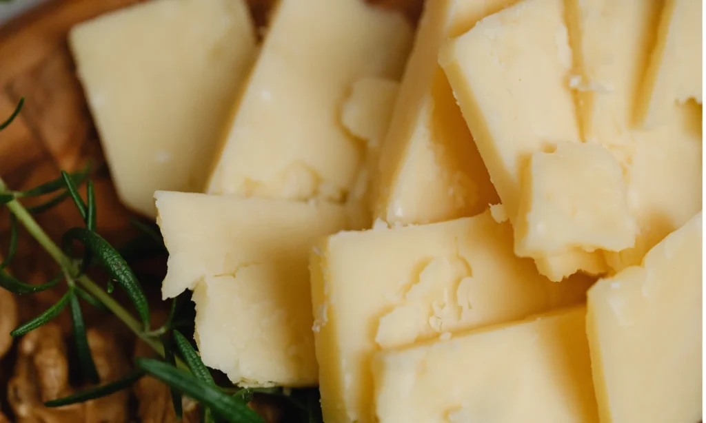 How a Dairy Brand Simplified B2B Delivery with Logistics Optimization