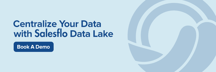 Centralize Your Data with Salesflo Data Lake Experts